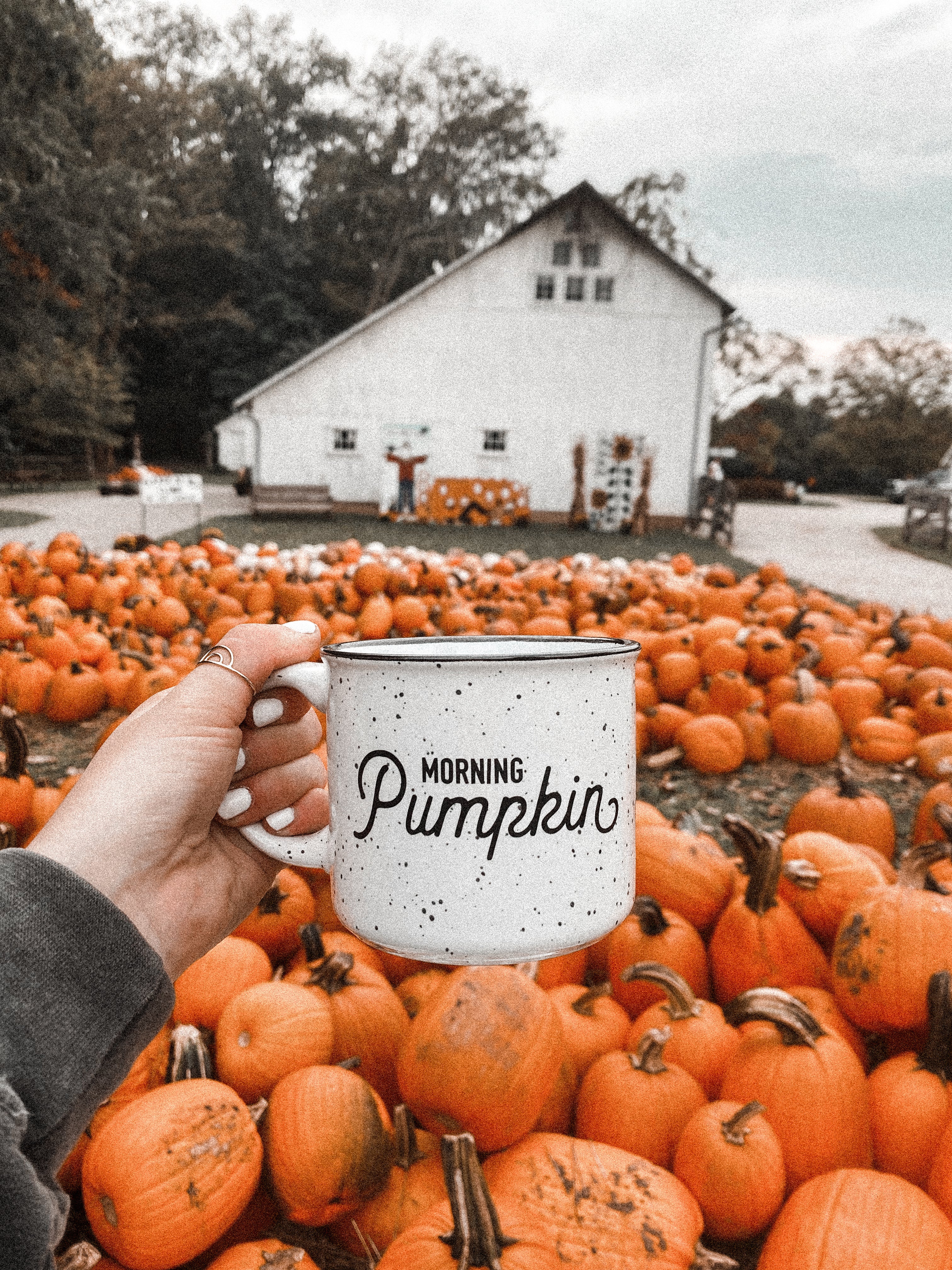 morning pumpkin mug
