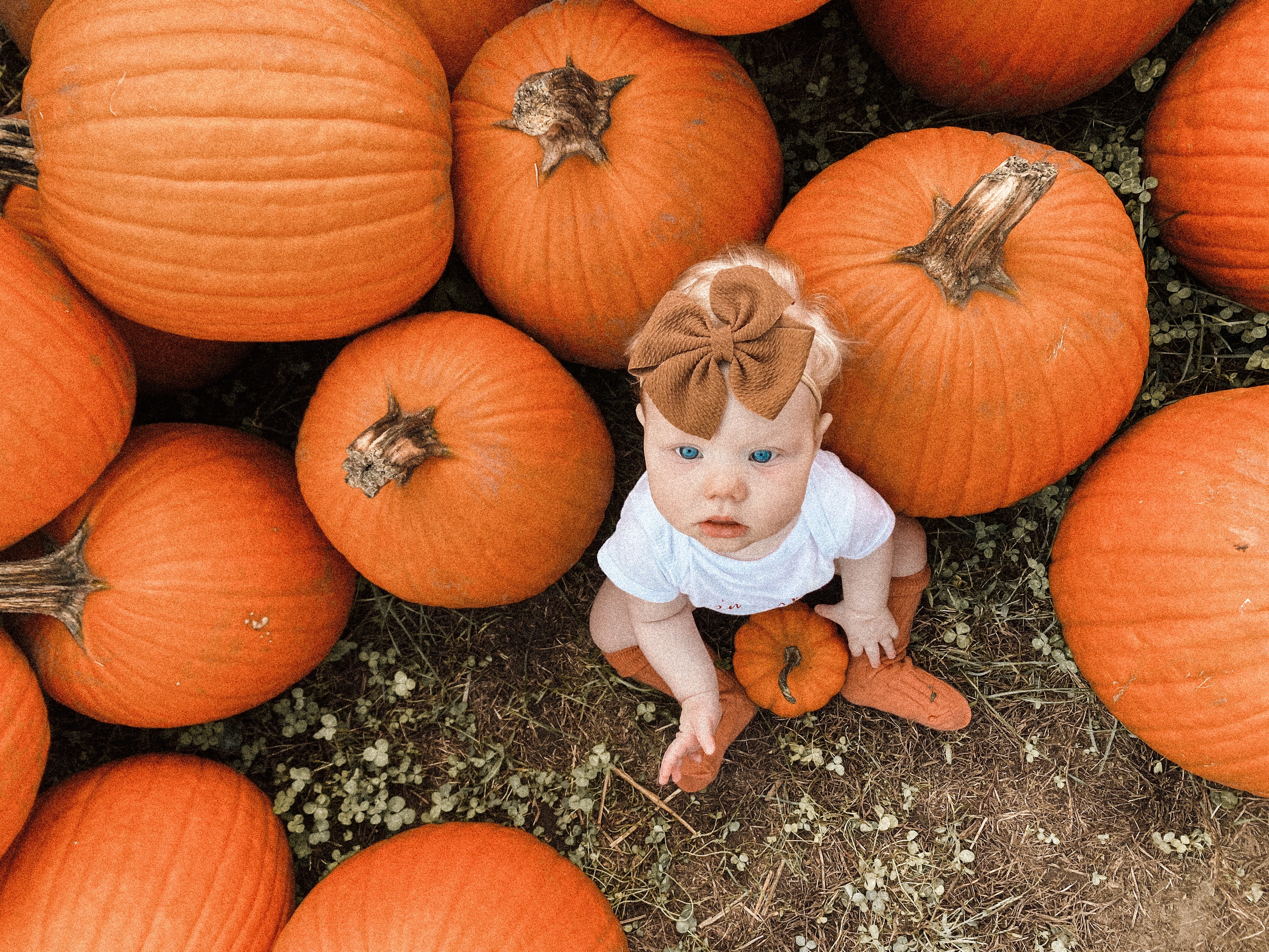 little pumpkin onesie