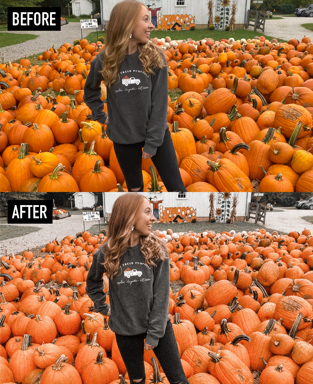 pumpkin patch lightroom mobile preset